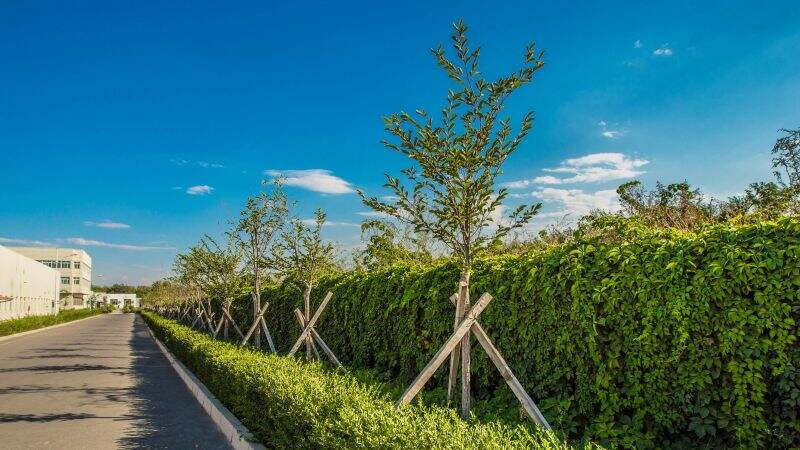 99贵宾会·(中国区)有限公司官网